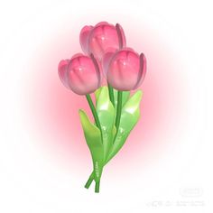 pink tulips with green stems on a white background