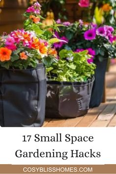 small space gardening hacks that are easy to grow and keep your garden fresh all year long