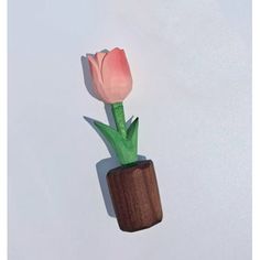 a pink tulip in a wooden vase on a white background with the shadow of a person's hand