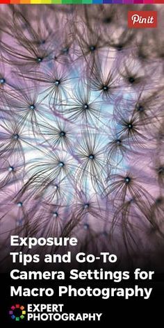 the cover of exposure tips and go - to camera settings for macro photography, expert photography