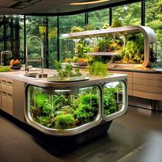 an indoor kitchen with plants growing in it