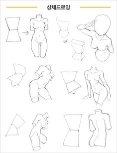 a drawing book with various poses and shapes for people to draw, including the torsos