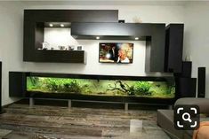 a living room filled with furniture and a fish tank in the center of it's wall