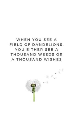 a dandelion with the words, when you see a field of dandelions