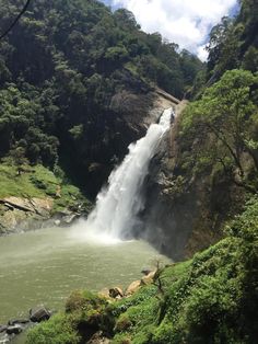 a large waterfall in the middle of a forest