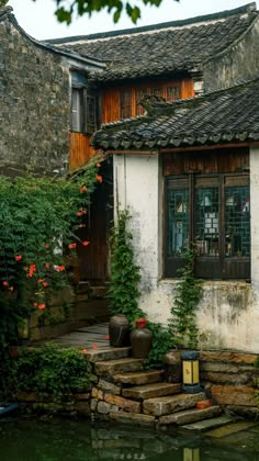 an old house with water in front of it and plants growing on the outside wall