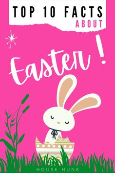 an easter bunny with the words top 10 fact about it in front of pink background