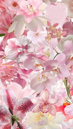 pink and white flowers are arranged in the shape of a flower arrangement with lots of petals