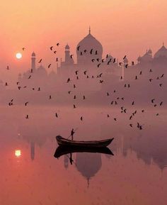 a boat floating on top of a lake next to a flock of birds