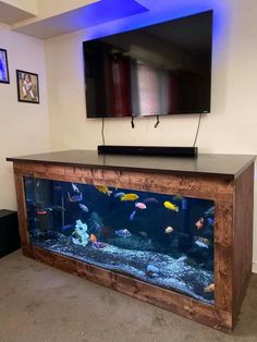 a fish tank in front of a flat screen tv mounted on the wall above it