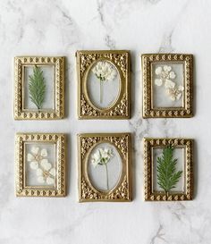 four gold frames with white flowers in them on a marble countertop, each holding a single flower