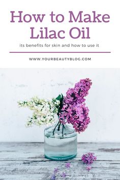 Easy Homemade Crafts, Uses For Lilac Flowers, Lilac Oil Diy, Lilac Oil, How To Dry Lilac Flowers, Lilac Flower Uses, Lilac Essential Oil Diy, Lilac Tincture Benefits, Lilac Medicinal Uses