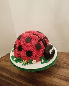 a cake that looks like a ladybug sitting on top of a wooden table