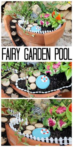 fairy garden in a pot with rocks and flowers