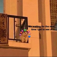 a cat sitting on top of a window sill looking out at the street below