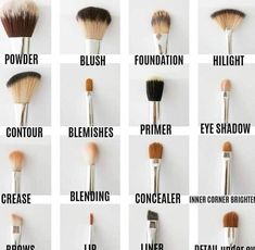 Types Of Makeup Brushes, Makeup Brush Uses, Membentuk Alis, Bentuk Alis, Brush Guide, Mekap Mata, Makeup Order, Makeup Brushes Guide, Makeup Tip