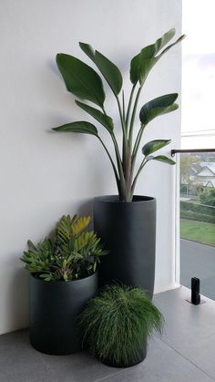 two planters sitting next to each other on the ground