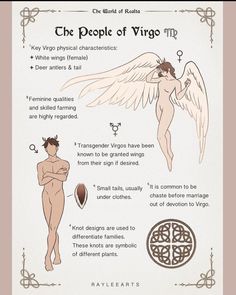 an info sheet describing the different types of wings