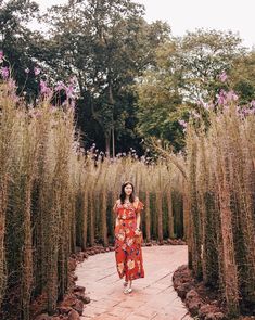 a woman in a red dress is walking through some tall grass and flowers on the ground