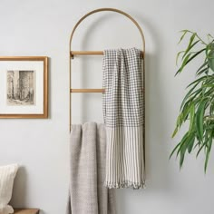 a towel rack with two towels hanging on it next to a potted plant and framed pictures