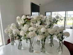 there are many vases with white flowers on the table in front of a large window