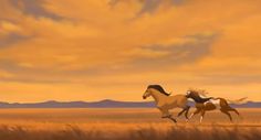 two horses are running in the field at sunset