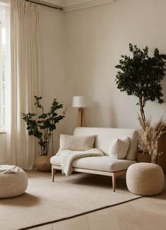 a living room filled with furniture and a potted plant