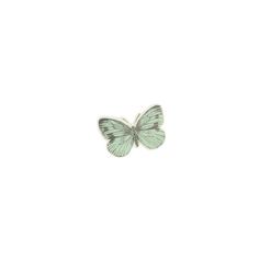 a green butterfly on a white background