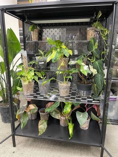 a shelf filled with lots of potted plants