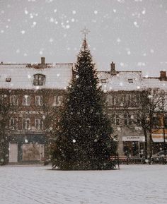 a large christmas tree sitting in the middle of a snow covered field next to buildings