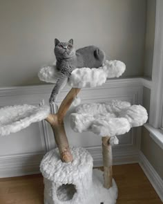 a cat sitting on top of a fake tree in a room with white walls and wood floors