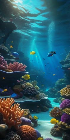 an underwater scene with corals and fish in the water, under water sunlight coming from above