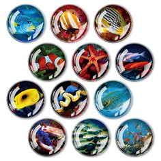 six plates with different types of fish and sea animals on them, all painted in various colors