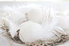 three white eggs in a nest with feathers