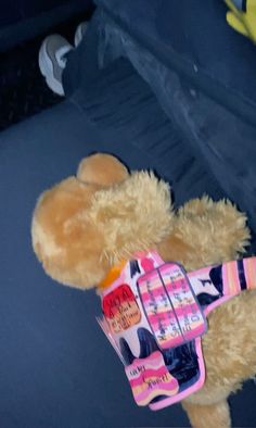 a brown teddy bear sitting in the back seat of a car wearing a pink vest