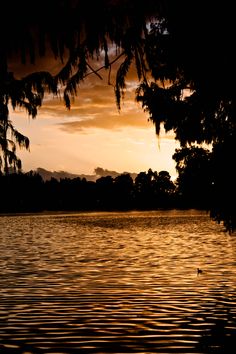 the sun is setting over a lake with trees