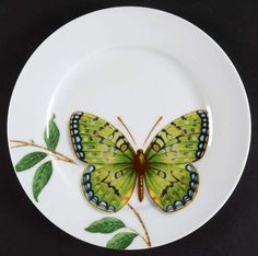 a green butterfly sitting on top of a white plate