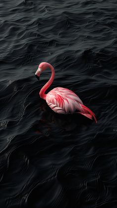 a pink flamingo floating on top of a body of water