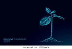 a plant growing out of the ground with leaves on it, in front of a dark background