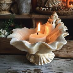 a candle that is sitting in a shell