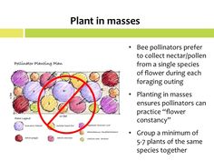 the diagram shows how plants and other things are different