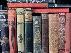 old books are lined up on a shelf