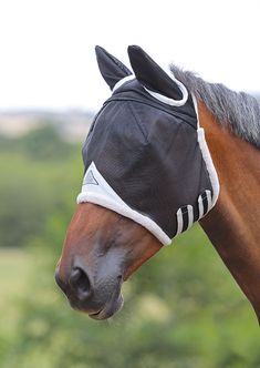 a brown horse wearing a black and white blind on its head with trees in the background