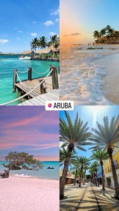 four different pictures with palm trees on the beach and water in the ocean at sunset