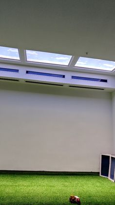 an empty room with green grass and skylights on the ceiling, in front of a white wall