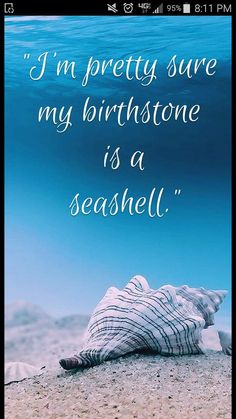 a seashell sitting on top of a sandy beach next to the ocean under a blue sky