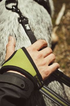 a hand with a wrist brace attached to it's palm, resting on a rock