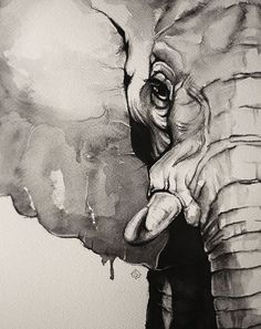 an elephant's face is shown in this black and white photo with watercolor