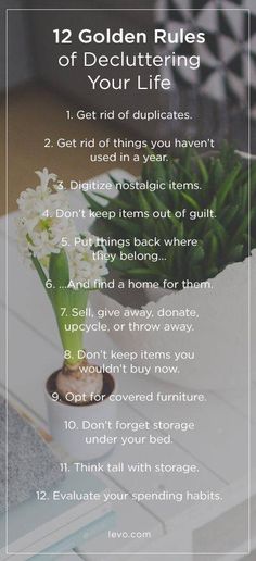 the 12 golden rules of decluttering your life with flowers in a pot