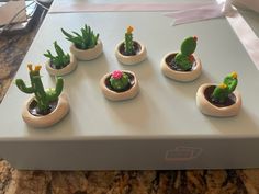 small cactus plants are placed in tiny pots on a counter top, with ribbon tied around the edges